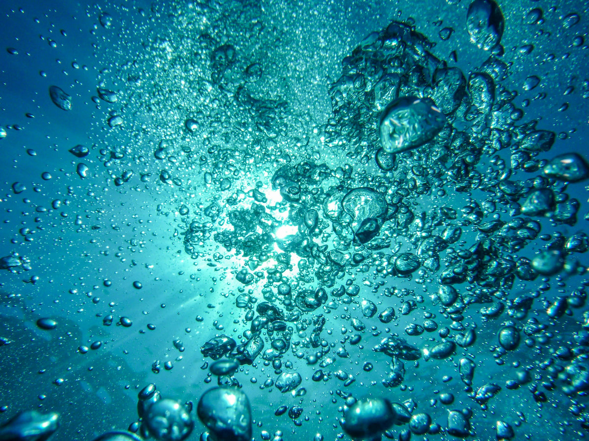 Close-up of water bubbles under a blue surface