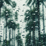 33132, Miami Rainstorm Coconut Soy Candle Tin - Cali Meets NYC