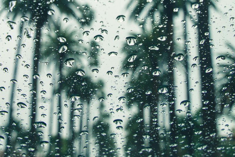33132, Miami Rainstorm Coconut Soy Candle Tin - Cali Meets NYC
